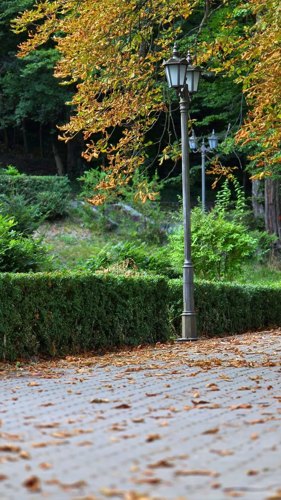 Felinar decorativ lângă arborii în culori de toamnă din parcul Băile Govora.