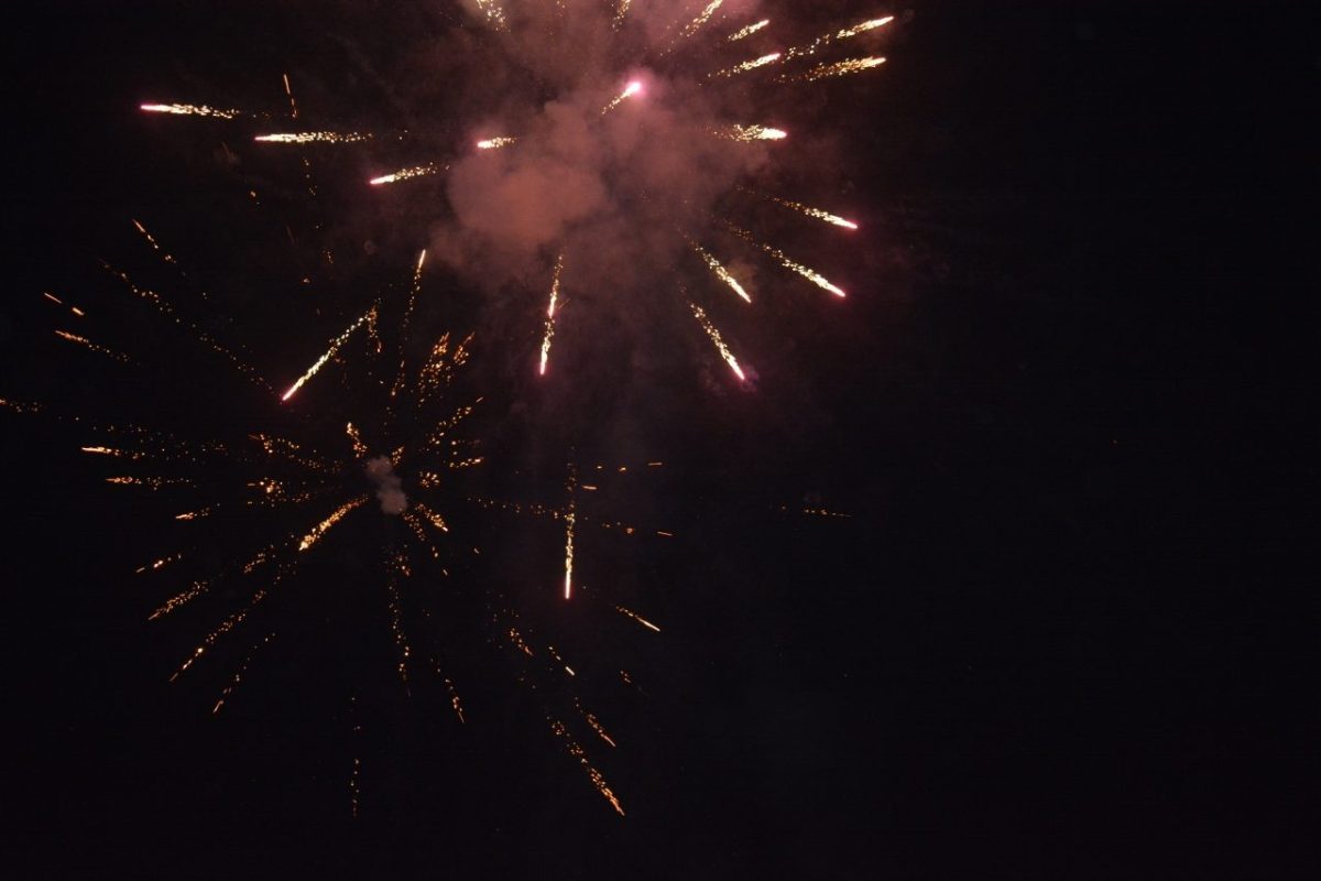 Florile Govorei 2021 – fotografia 53