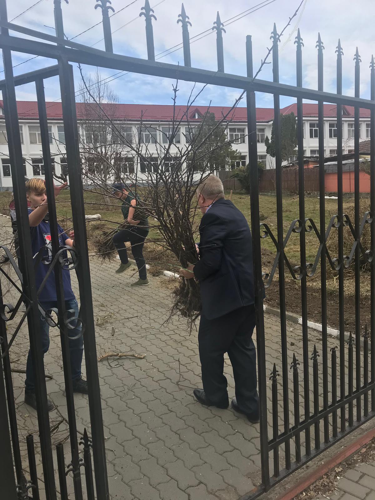 Actiune de plantare de meri la Liceul Tehnologic Baile Govora – fotografia 1