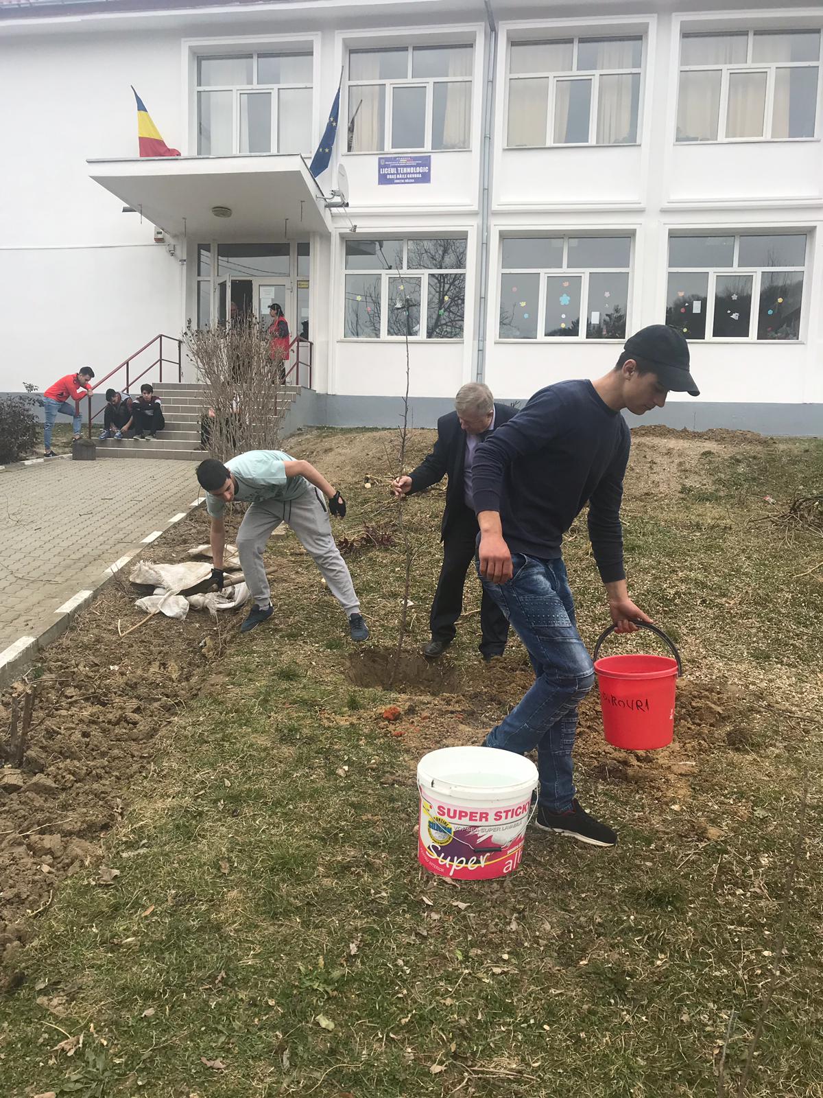 Actiune de plantare de meri la Liceul Tehnologic Baile Govora – fotografia 8