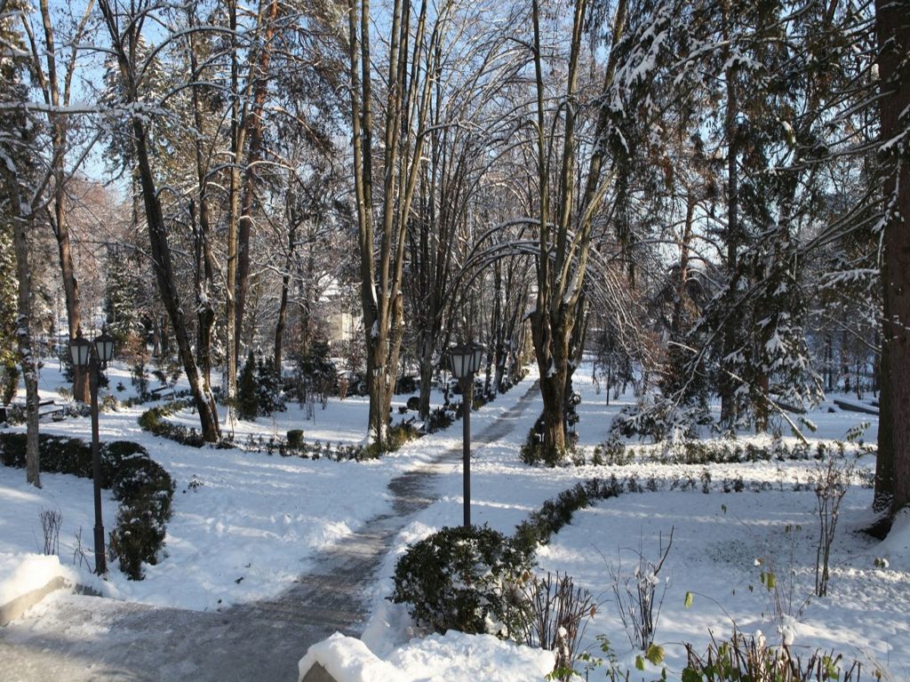 Parcul balnear iarna
