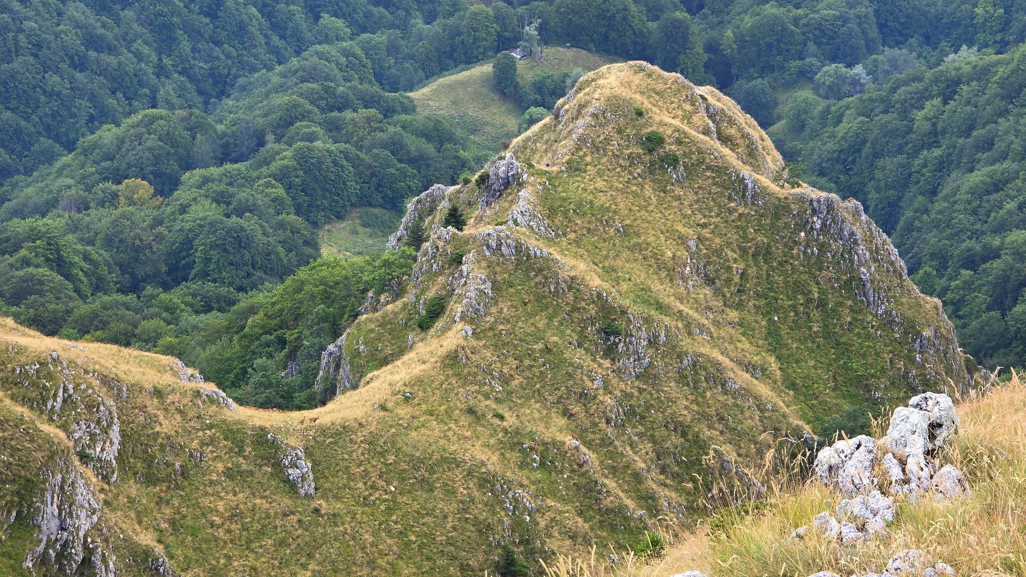 Peisaj montan și creste împădurite din împrejurimile Băilor Govora.